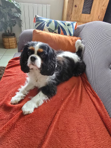 Photo de galerie - Petite nouvelle pour après midi balade ?