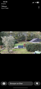 Photo de galerie - Taille de haies et d'arbustes