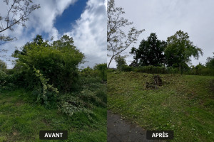 Photo de galerie - Photo avant après chez un particulier en 1 journée 
