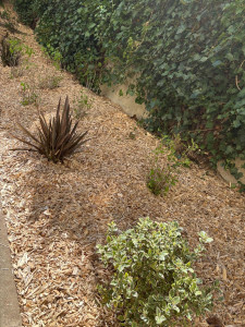 Photo de galerie - Mise en place paillages 