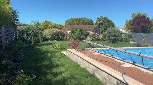 Photo de galerie - Tonte de pelouse - Débroussaillage