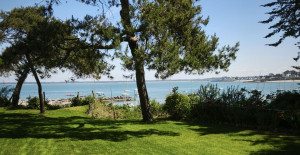 Photo de galerie - Entretien du jardin: Pelouse, débroussaillage , désherbage, taille...