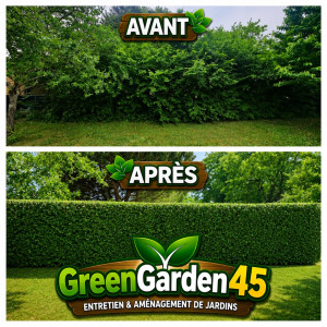 Photo de galerie - Taille de haies et d'arbustes