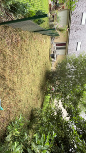 Photo de galerie - Tonte de pelouse - Débroussaillage