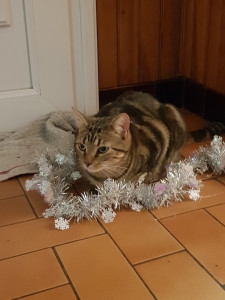 Photo de galerie - Visite à domicile 