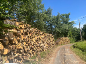 Photo de galerie - Bois / Bois de chauffage / Bastaing