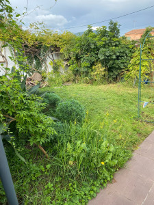 Photo de galerie - Nettoyage jardin 