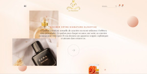 Photo de galerie - BOUTIQUES EN LIGNE de vente de parfum