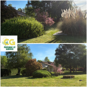 Photo de galerie - Taille 