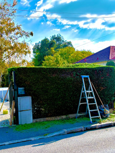 Photo de galerie - 95%