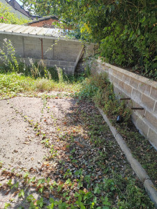 Photo de galerie - Tonte de pelouse - Débroussaillage