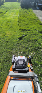 Photo de galerie - Tonte de pelouse - Débroussaillage