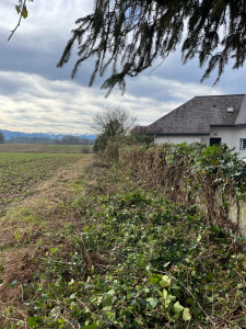 Photo de galerie - Jardinier