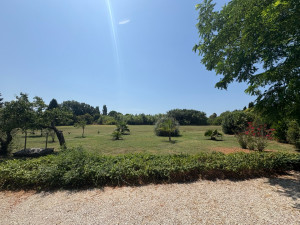 Photo de galerie - Taille