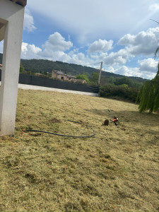 Photo de galerie - Débroussaillage 