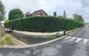 Photo de galerie - Taille de haies et d'arbustes