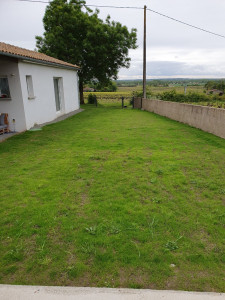 Photo de galerie - Tonte de pelouse - Débroussaillage