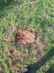 Photo de galerie - Scarification  souche