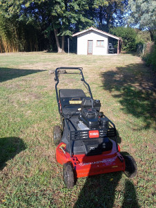 Photo de galerie - Tonte de pelouse avec tondeuse professionnelle 