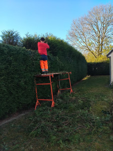 Photo de galerie - Rabatage de haie 