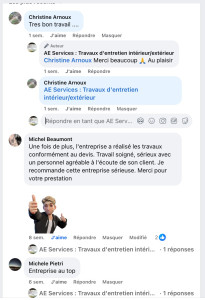 Photo de galerie - Taille de haies et d'arbustes