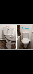 Photo de galerie - Changement de WC 