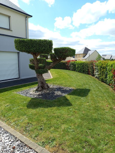 Photo de galerie - Olivier 