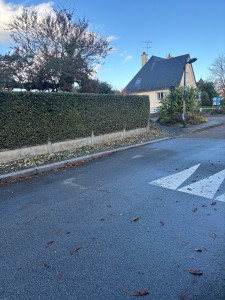 Photo de galerie - Taille de haies