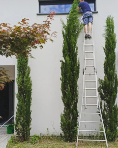 Photo de galerie - Nettoyeur de vitres