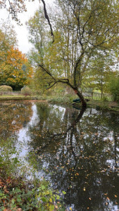 Photo de galerie - Après 