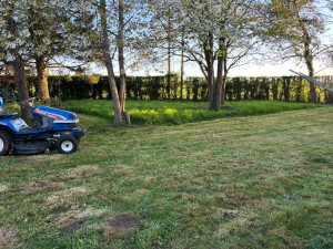 Photo de galerie - Tonte de pelouse 