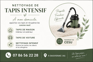 Photo de galerie - Lavage tapis intensif