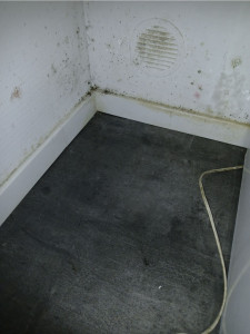 Photo de galerie - Pose de lino ( avant problème d humidité ! ).