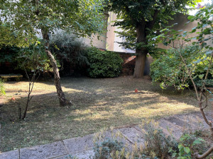 Photo de galerie - Tonte de pelouse - Débroussaillage