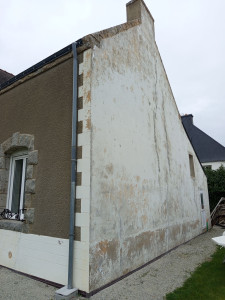 Photo de galerie - Peinture - Tapisserie