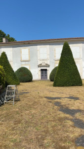 Photo de galerie - Paysagiste - Aménagement du jardin