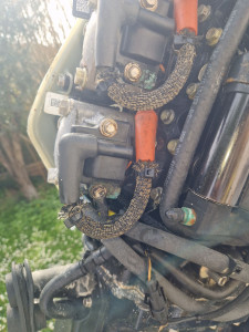 Photo de galerie - Changement pompe à essence et nettoyage injecteurs moteur hors-bord.