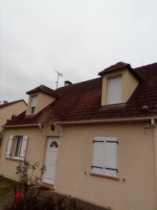 Photo de galerie - Avant le nettoyage de la toiture 