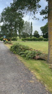 Photo de galerie - Paysagiste - Aménagement du jardin