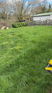 Photo de galerie - Avant 