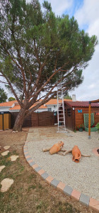 Photo de galerie - Paysagiste - Aménagement du jardin