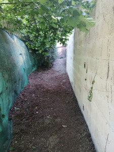 Photo de galerie - Debroussaillage, taille des ronces, ratissage des feuilles et broyage des petites branches