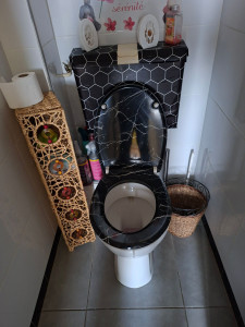 Photo de galerie - WC après 