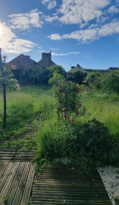 Photo de galerie - AVANT 
remise en état jardin 