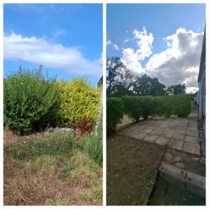 Photo de galerie - Taille de haies réaliser par net Service  46