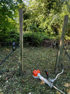 Photo de galerie - Remise en état ´d’un jardin abandonner 