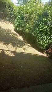 Photo de galerie - Après 