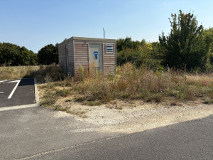 Photo de galerie - Tonte de pelouse - Débroussaillage