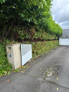 Photo de galerie - Réduction d’une haie 