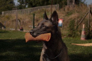 Photo de galerie - Photographe